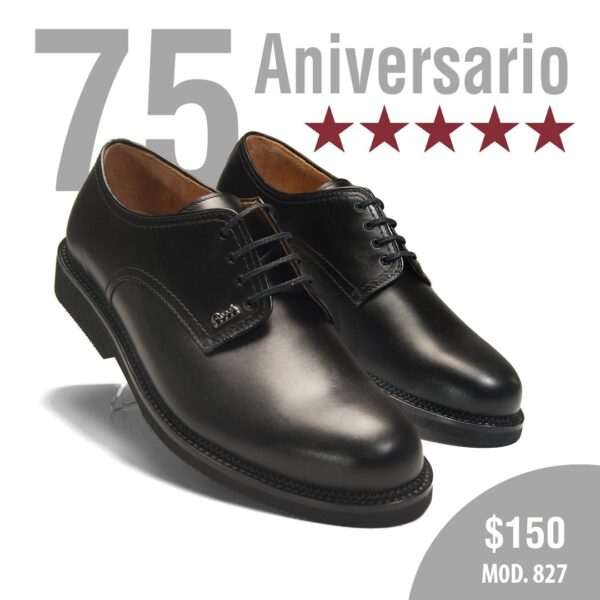 01 Modelo 827 Aniversario